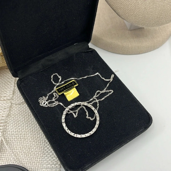 14K White Gold Necklace with Textured Circle Pendant, 18 Inches - Picture 7 of 14